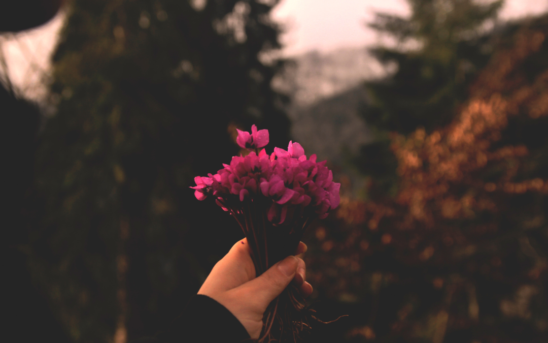 What is Estrogen Dominance?